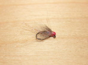 rabid pink squirrel jig