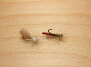 headlight caddis