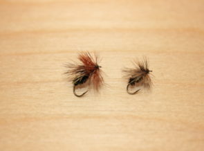 peacock caddis