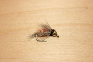 bird of prey october caddis